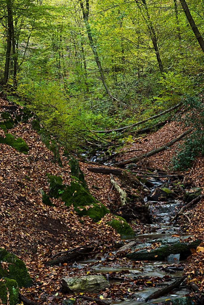 Herbst2