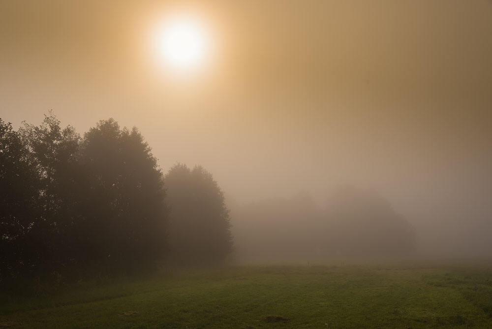 Herbst3001