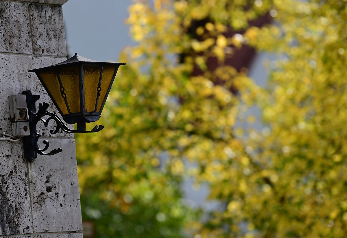 Herbst33.jpg