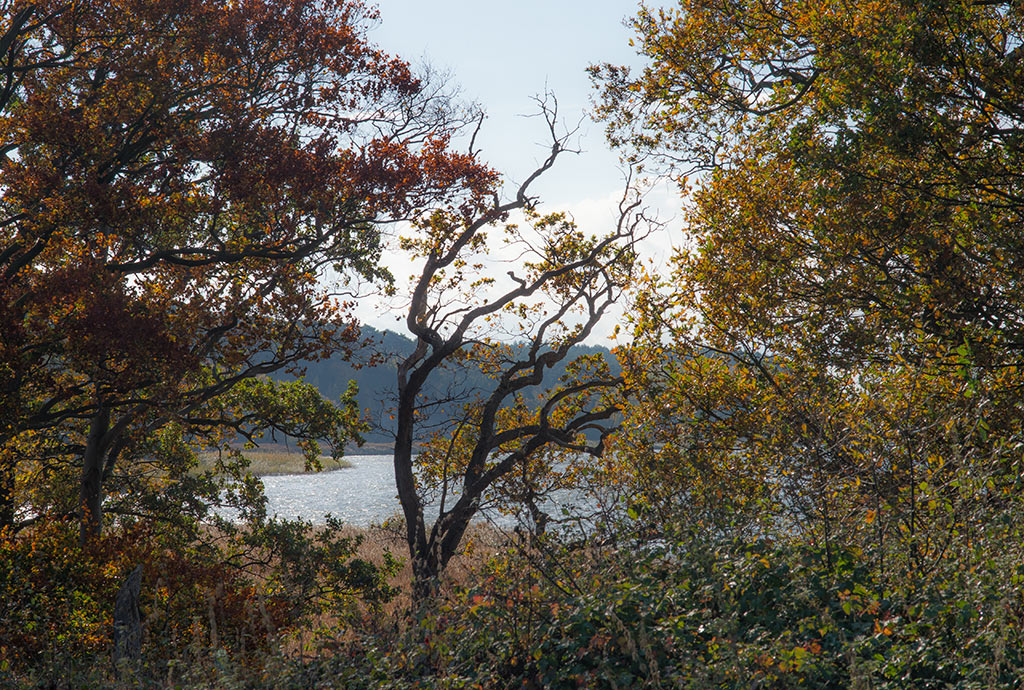 herbst5