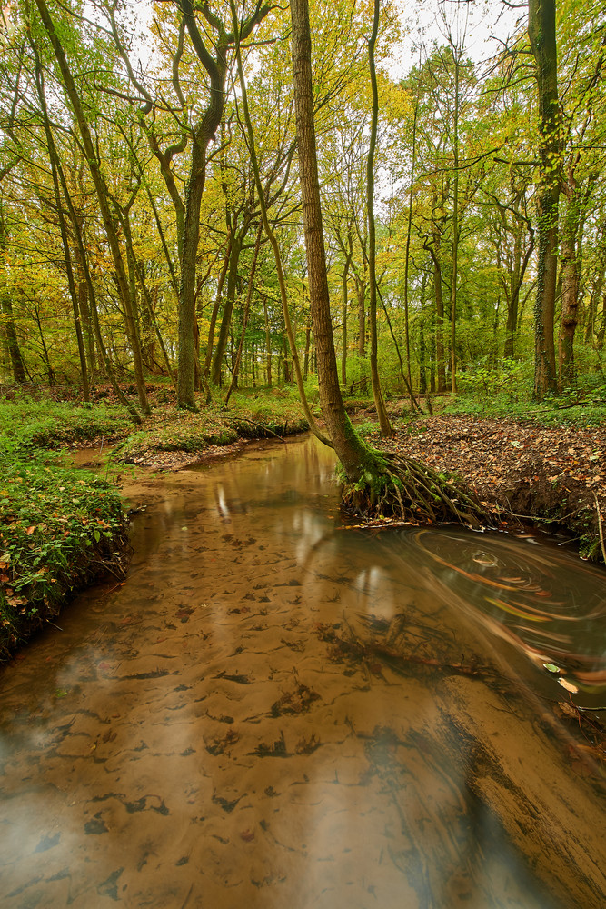 Herbst6