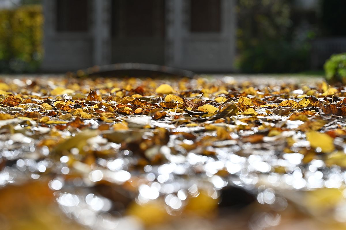 Herbst_09.jpg
