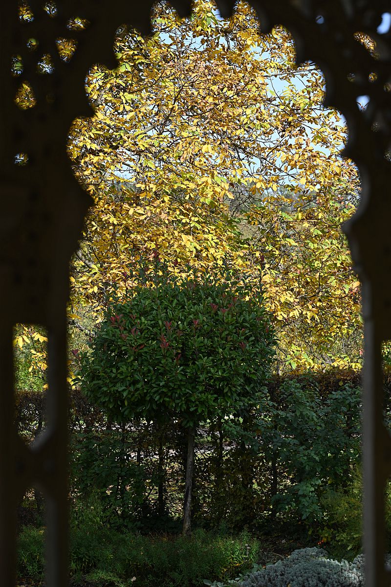 Herbst_12.jpg