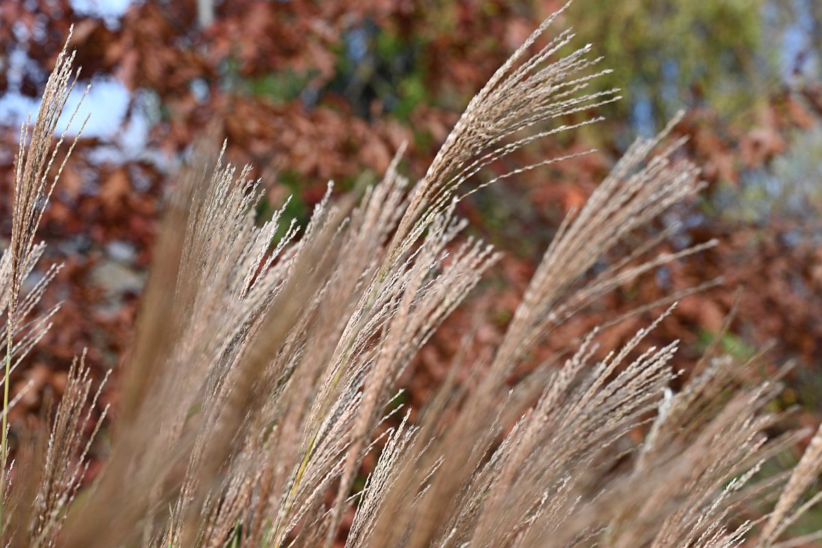 Herbst_16.jpg