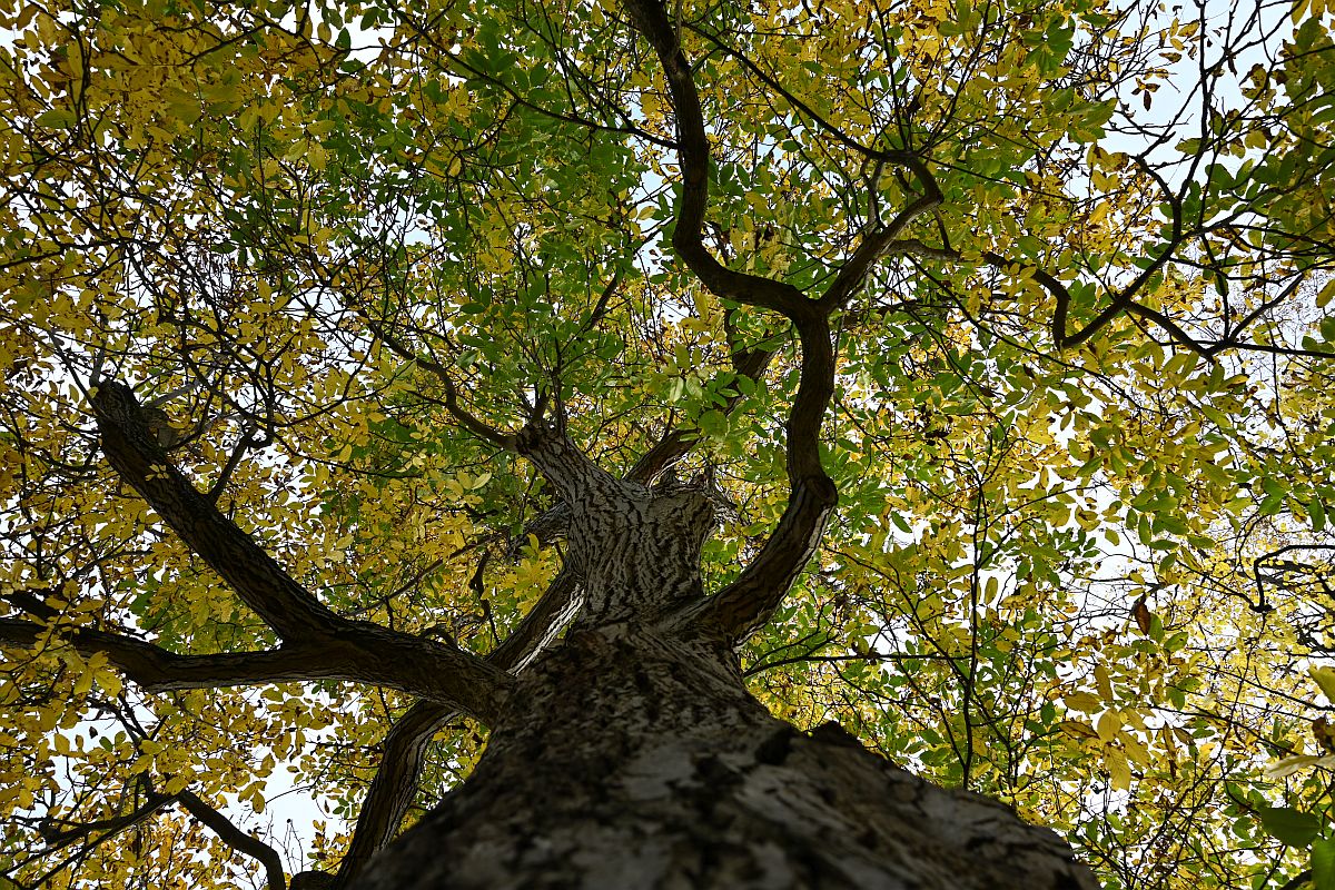 Herbst_19.jpg