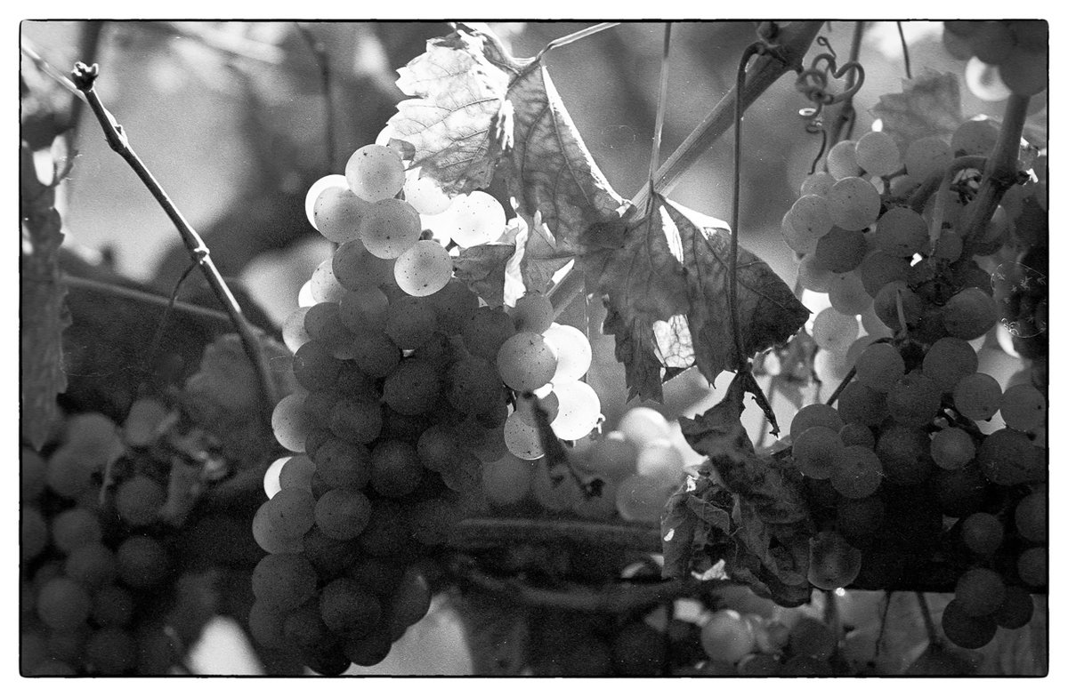 Herbst_2021-10.jpg