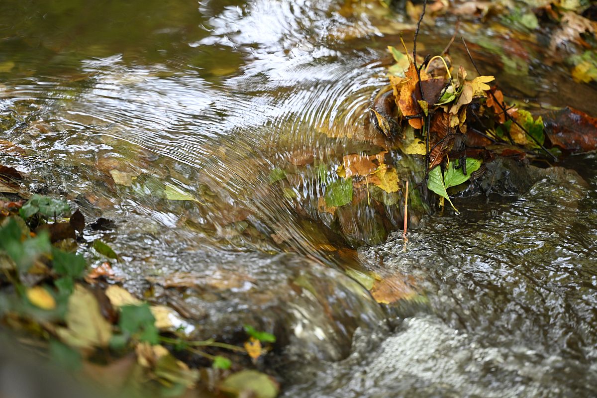 Herbst_22.jpg