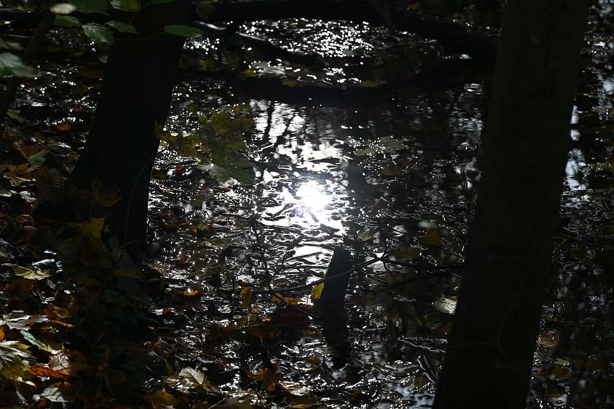 Herbst_24.jpg