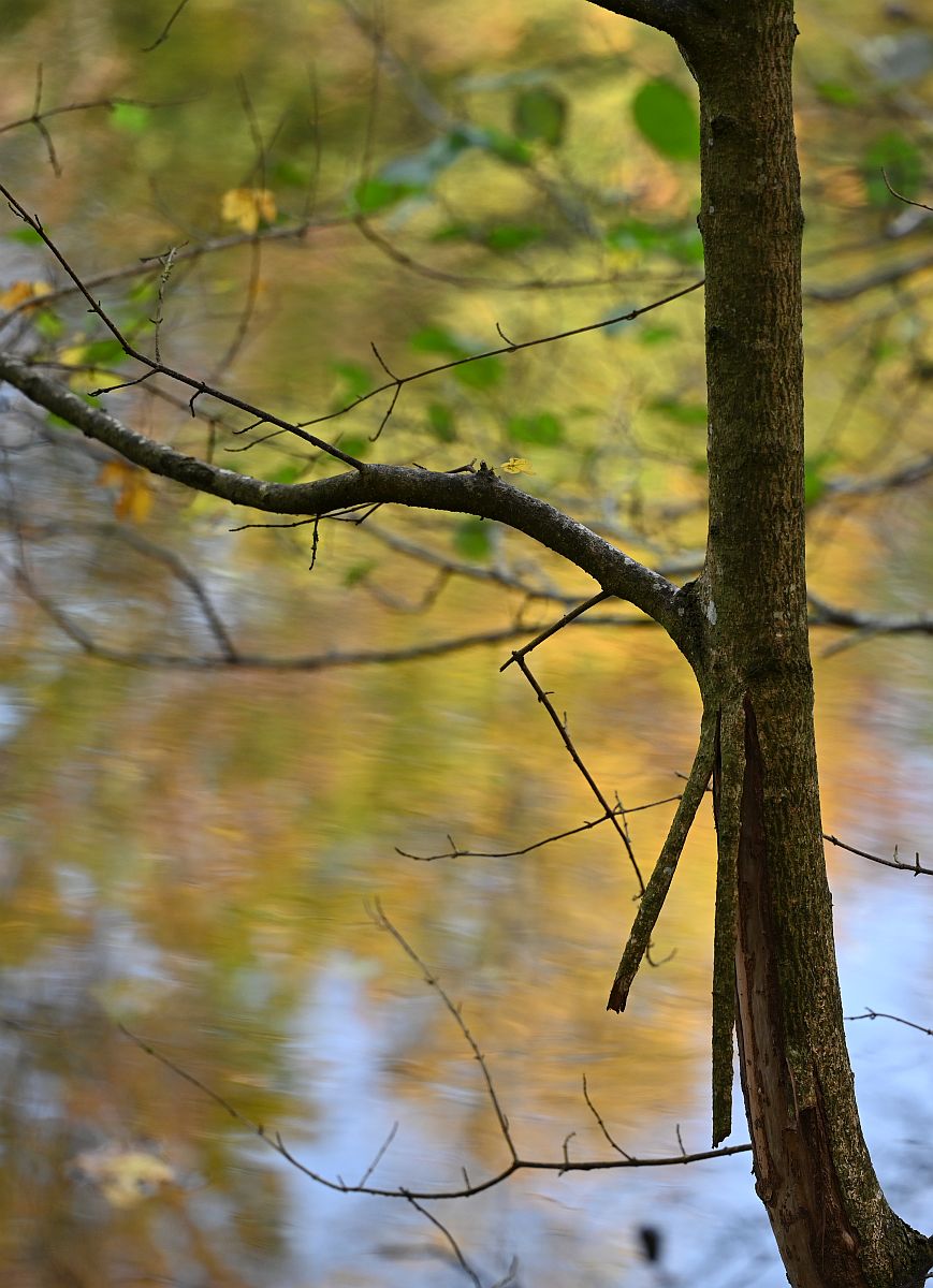 Herbst_30.jpg