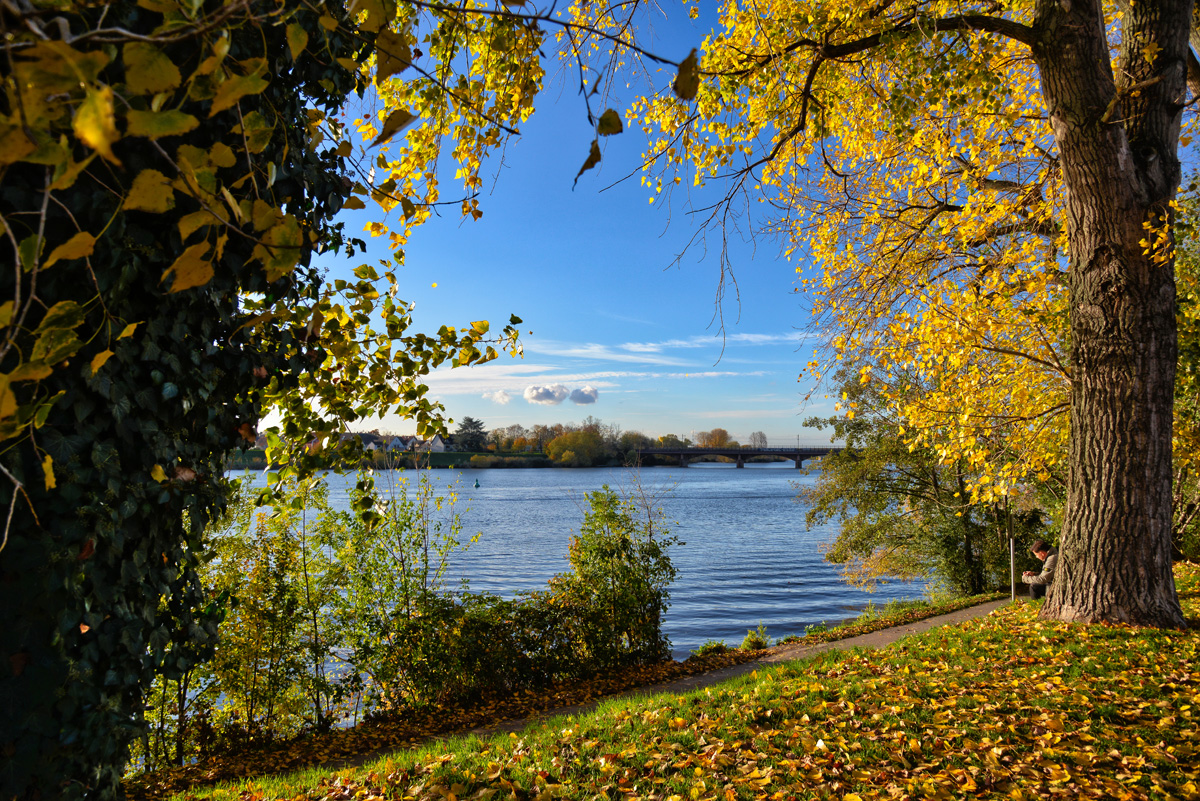 herbst_am_neckar.jpg