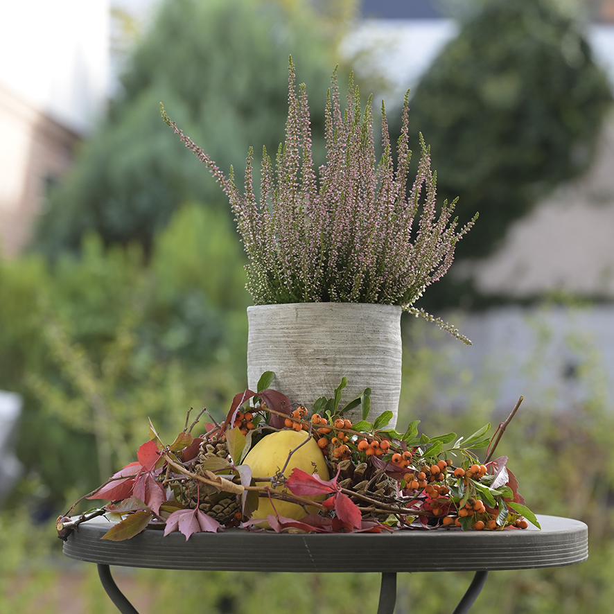 Herbst_ZF11087_15x15x150.jpg