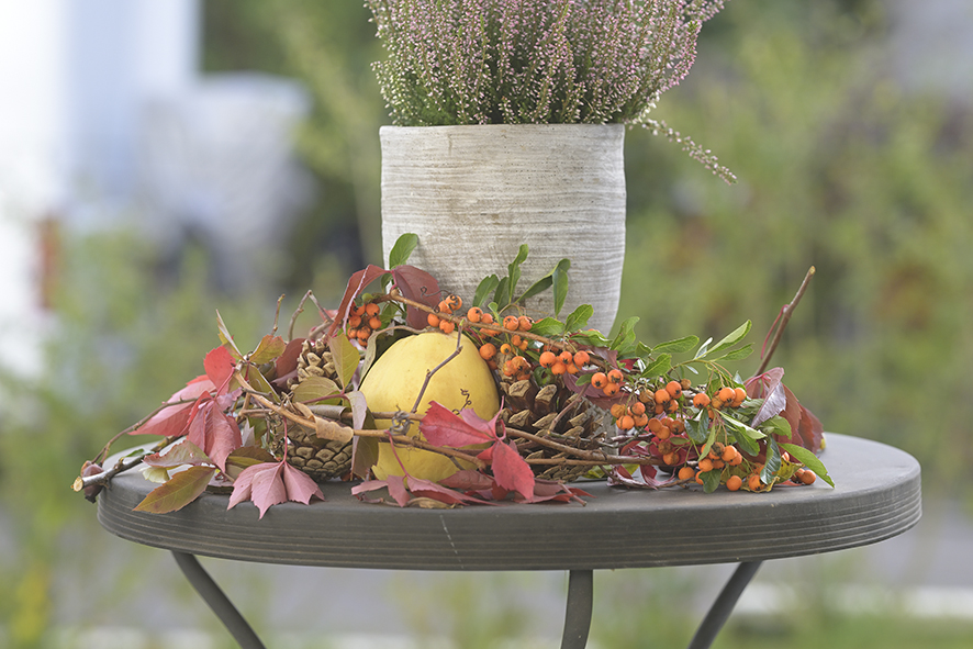 Herbst_ZF11089_15x10x150.jpg