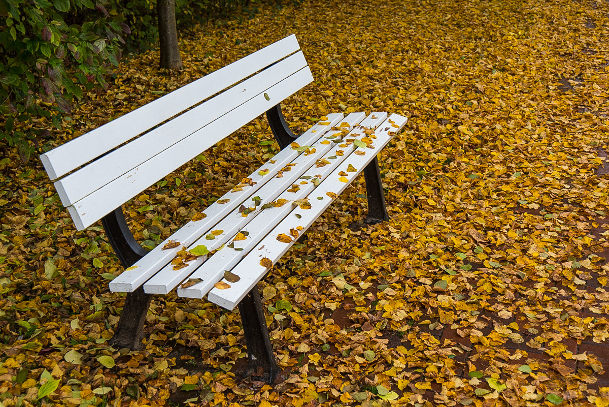 Herbstbank (1 von 1).JPG