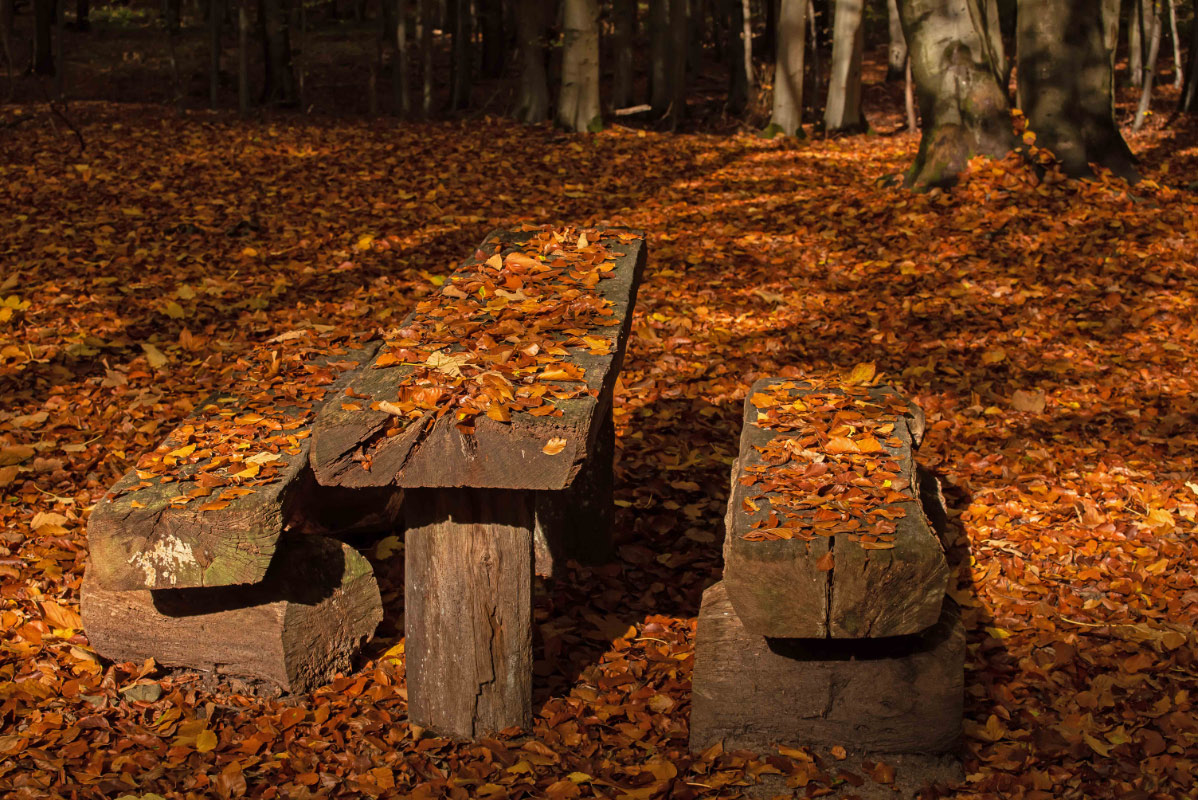 Herbstbank.jpg