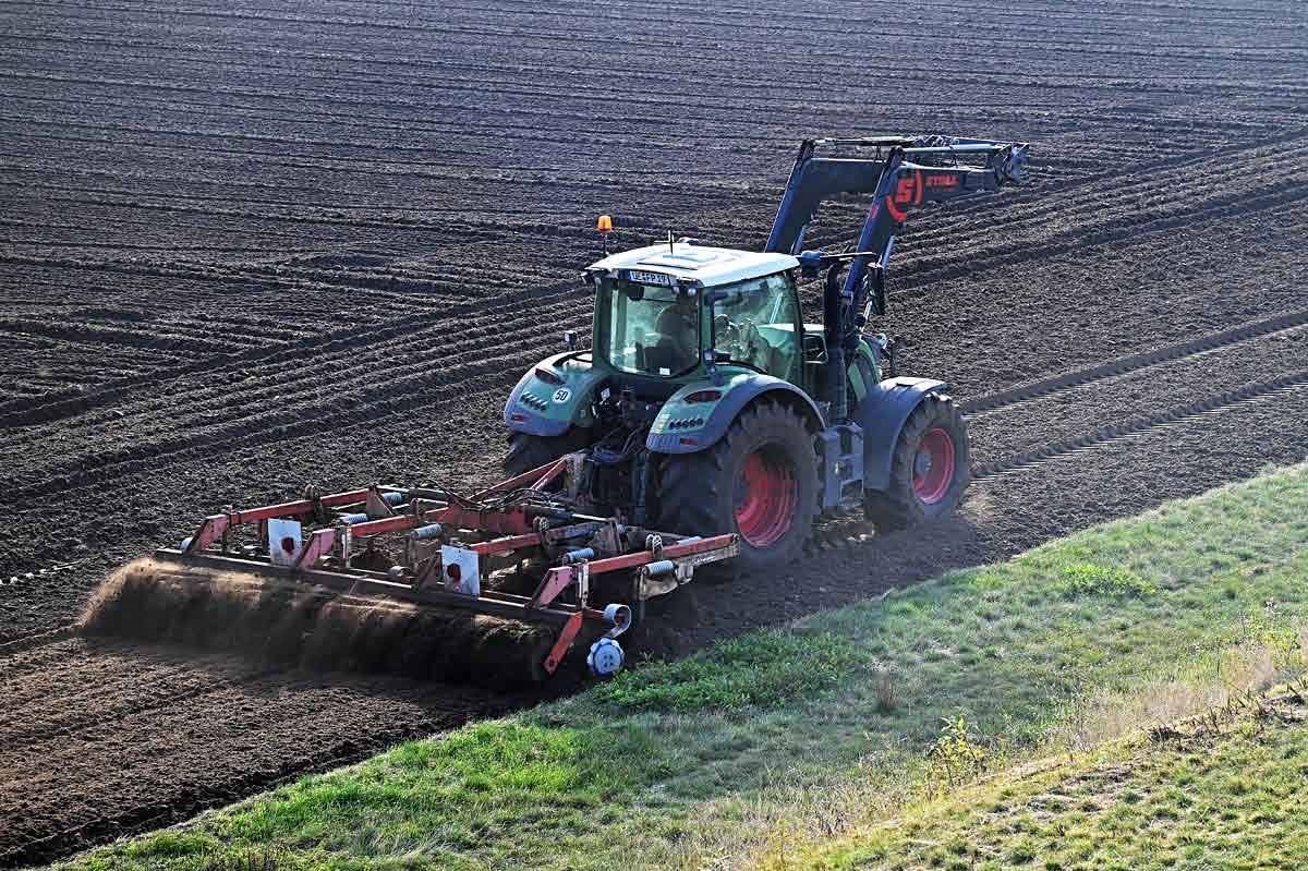 Herbstbestellung.jpg