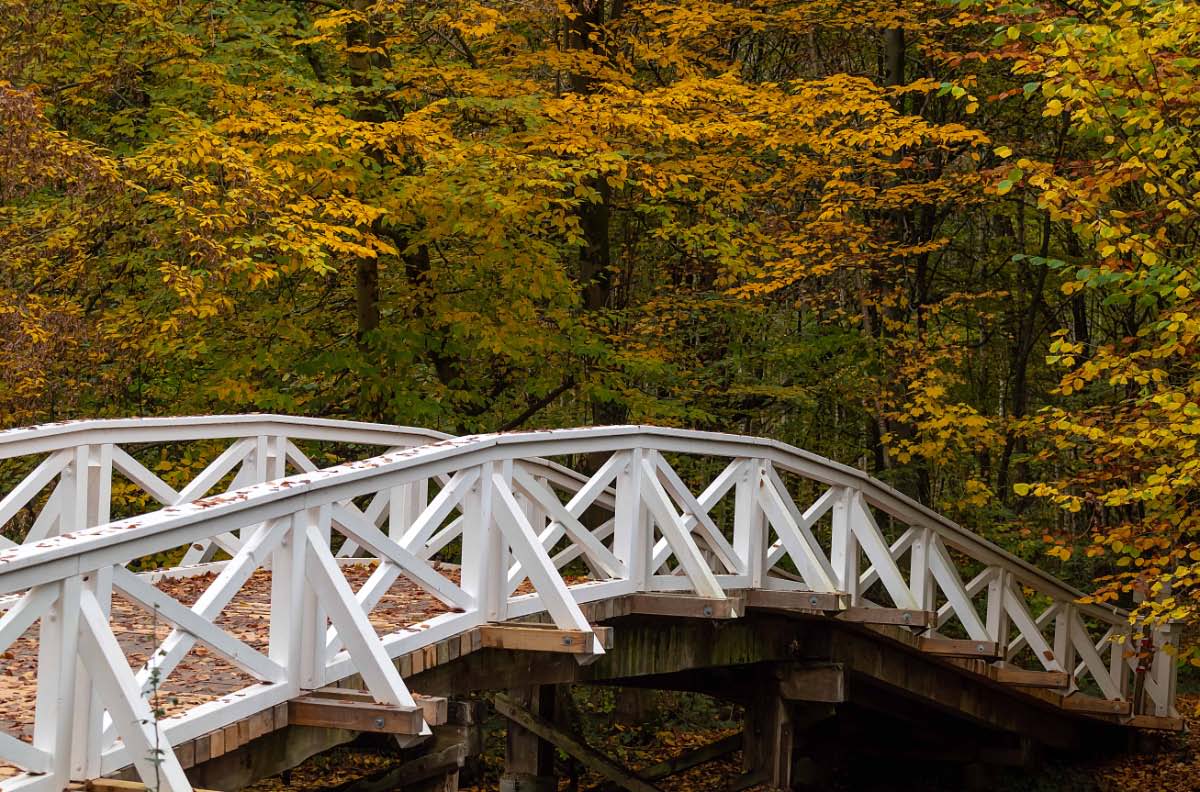 Herbstbrücke 2.jpg
