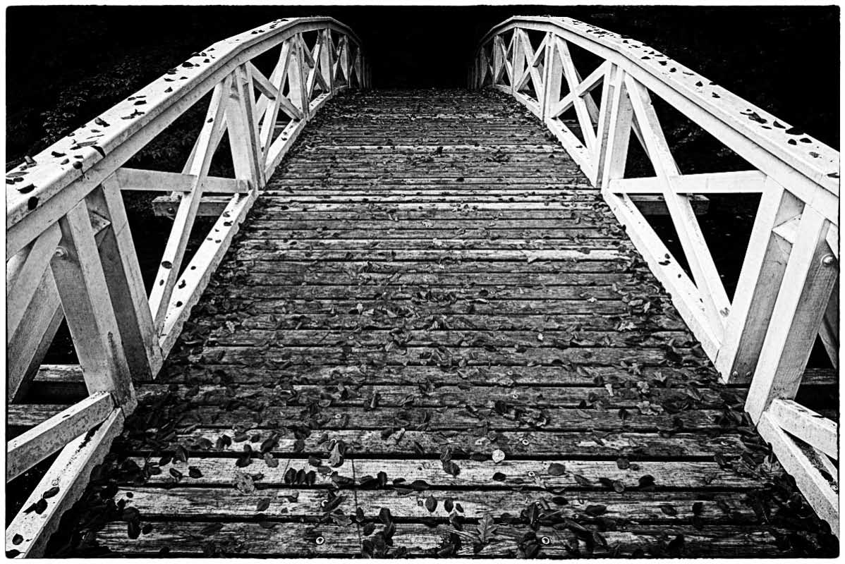 Herbstbrücke 2_BW 1.jpg