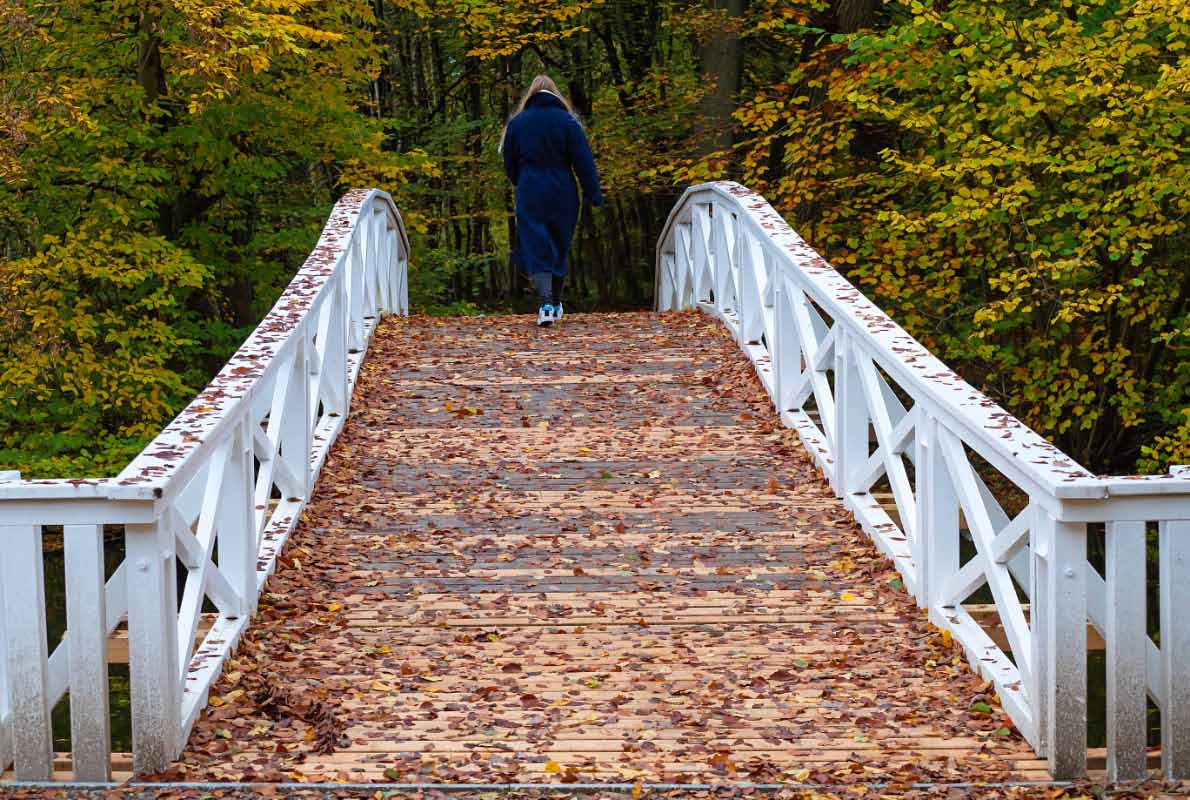 Herbstbrücke.jpg