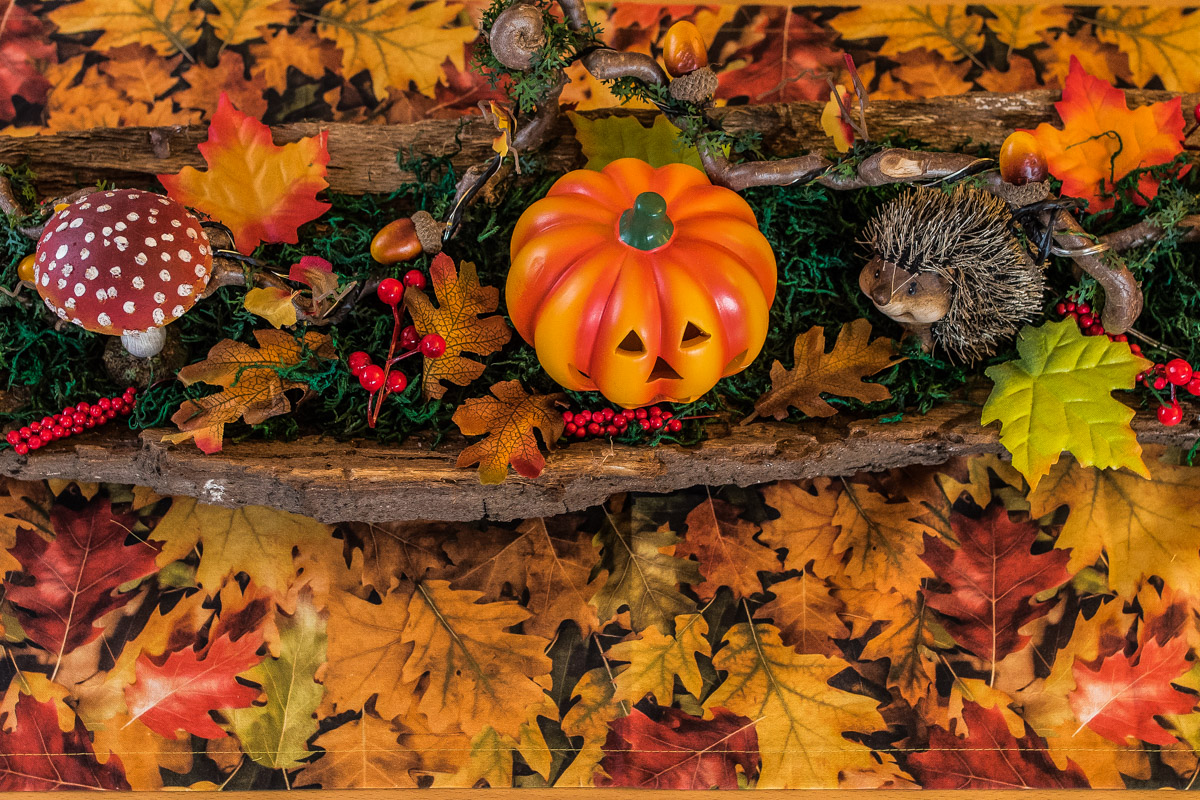 Herbstdeko 2 (1 von 1).JPG