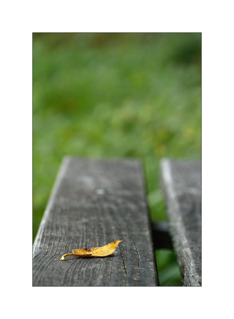 HerbstDSC 6476