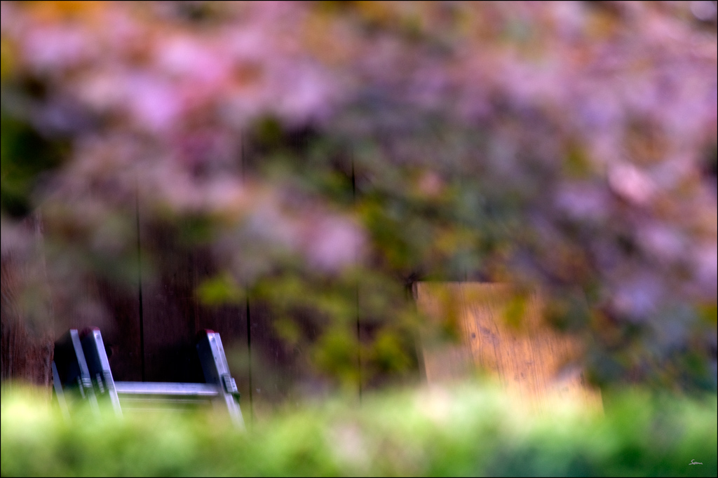 HerbstDSC 7256