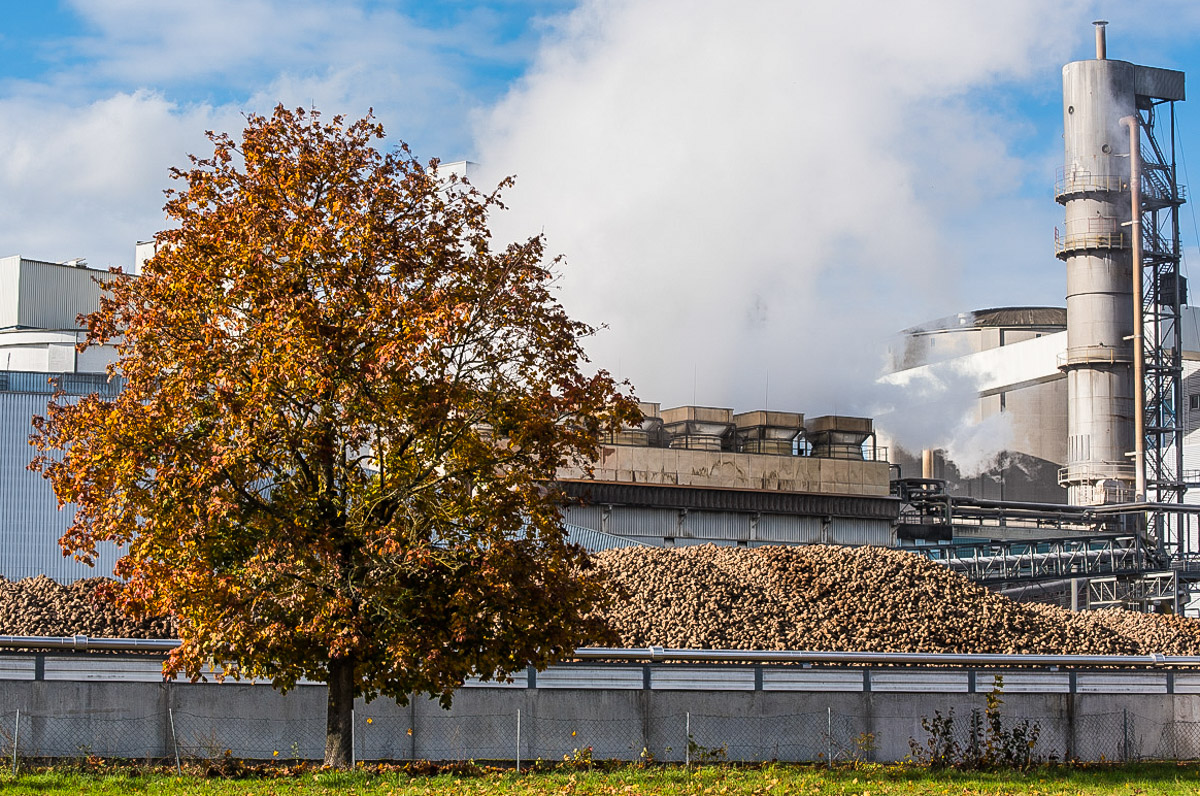 Herbstfabrik (1 von 1).JPG