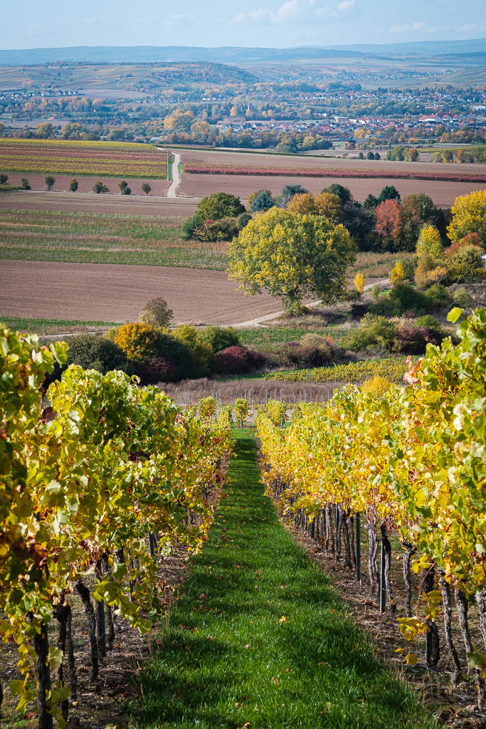 Herbstfarben-4295.jpg