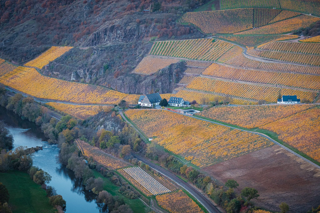 Herbstfarben-4551.jpg