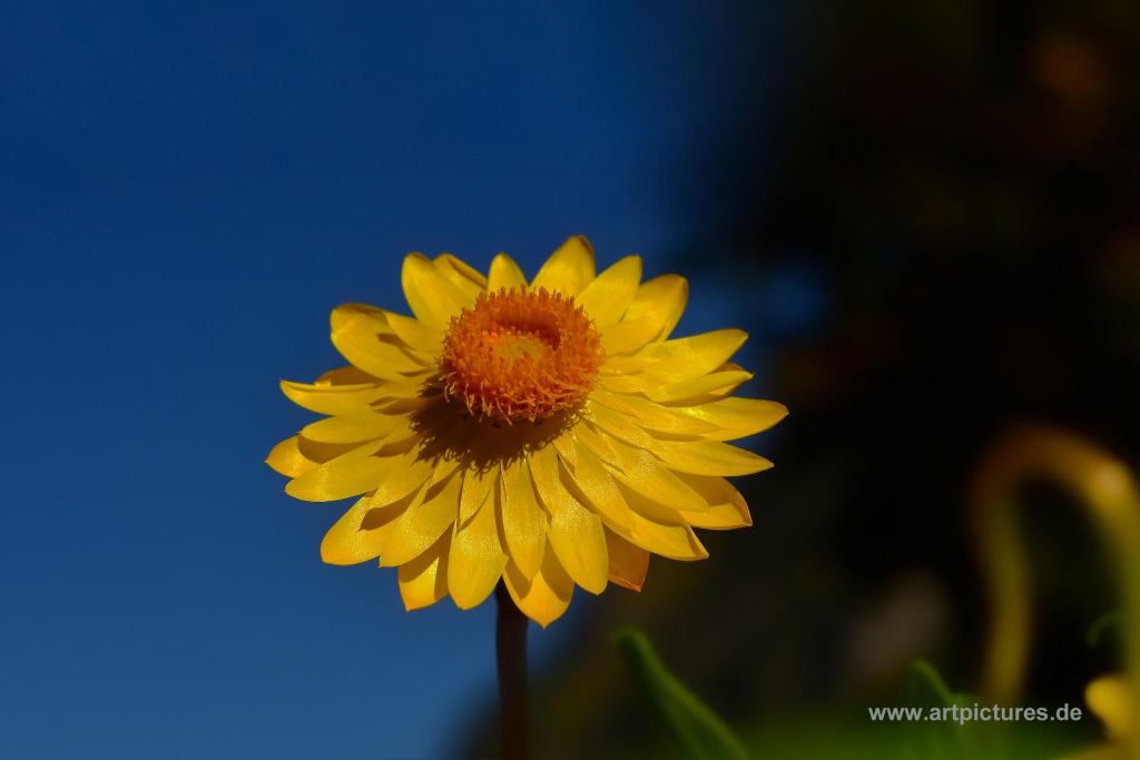 Herbstfarben