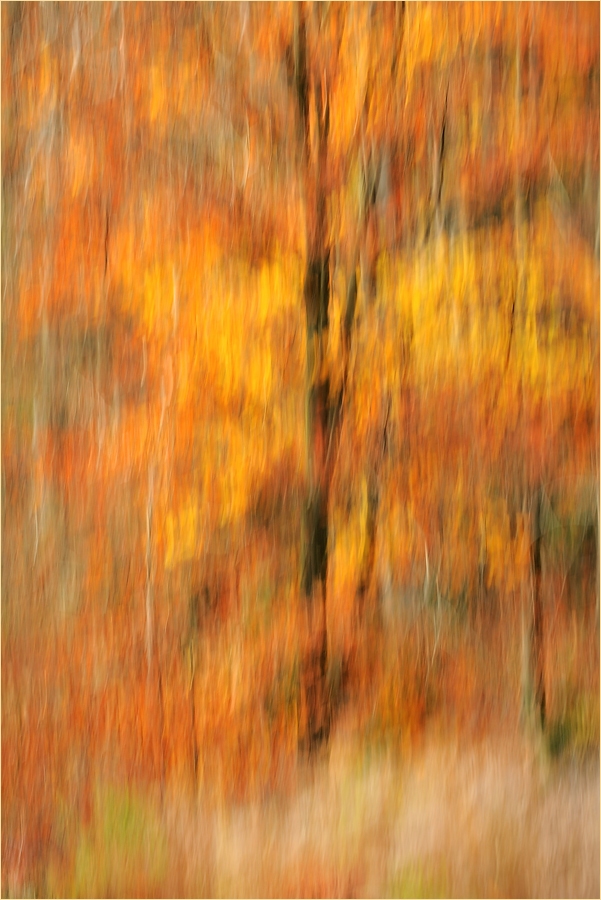 Herbstfarben