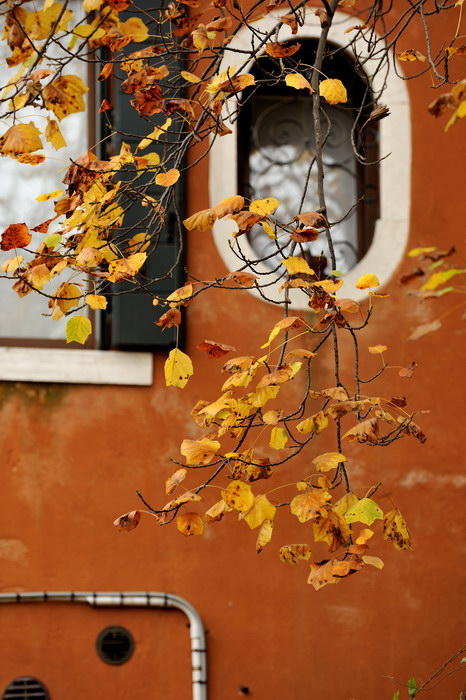 Herbstfarben