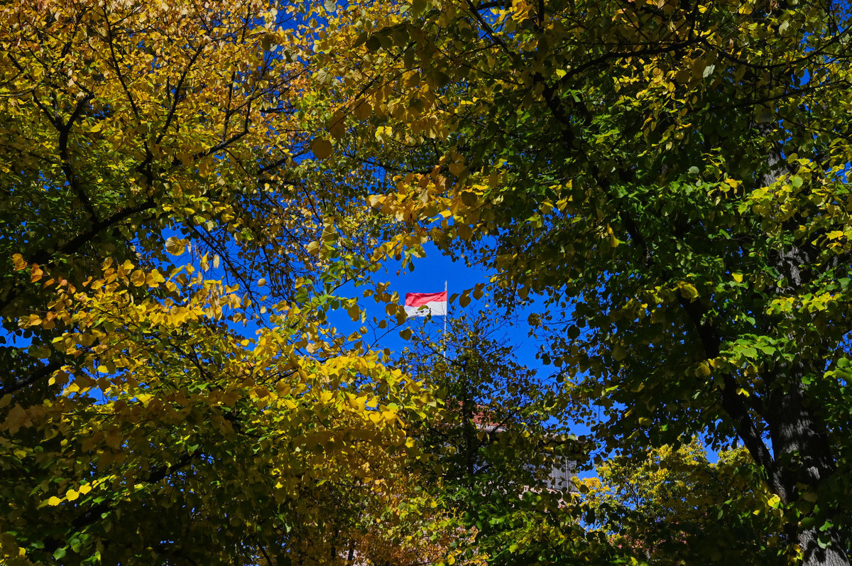 Herbstfarben