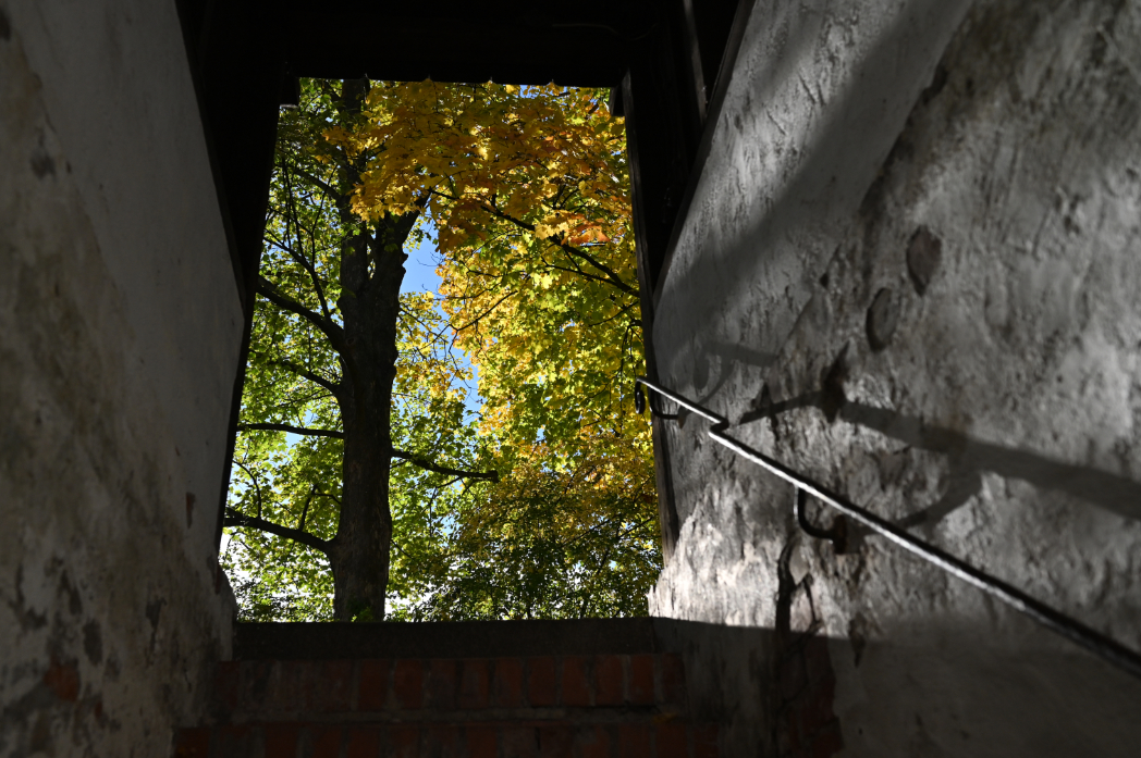 Herbstfarben