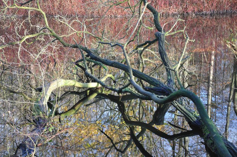 Herbstfarben