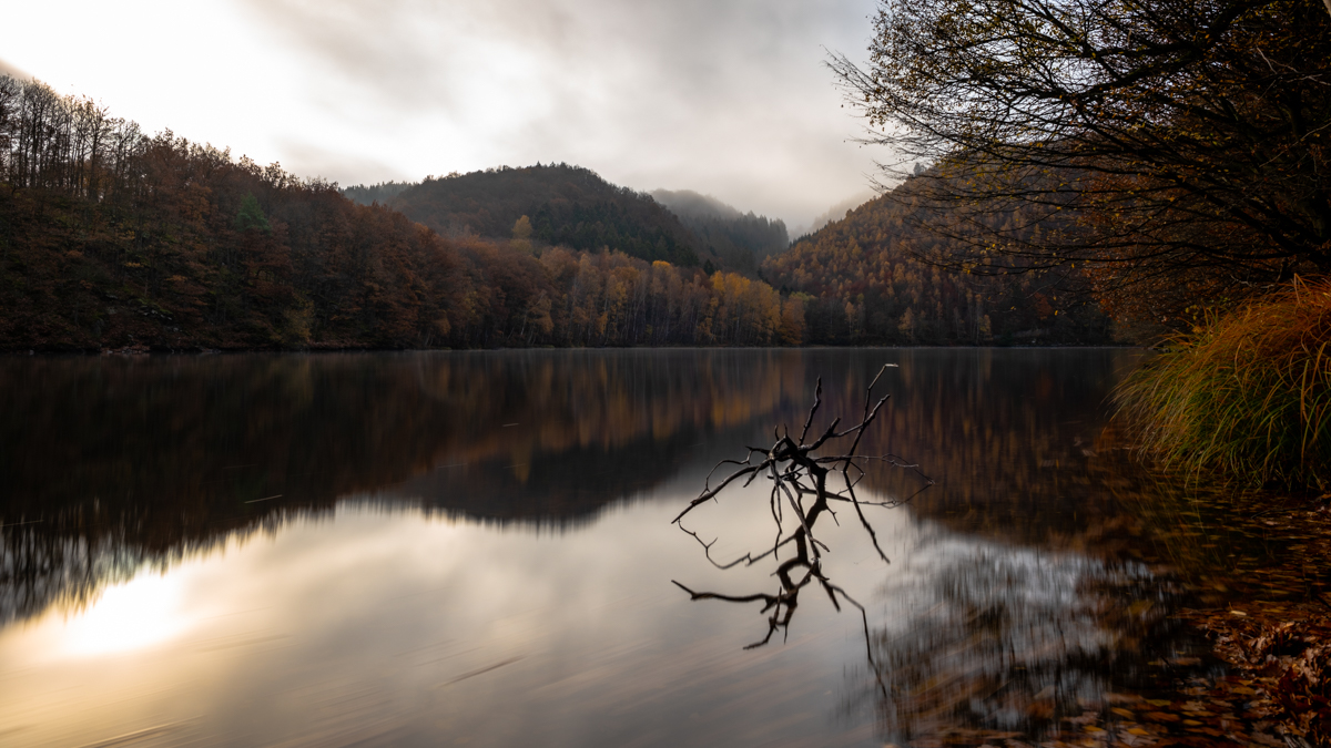HerbstfarbenForum 2