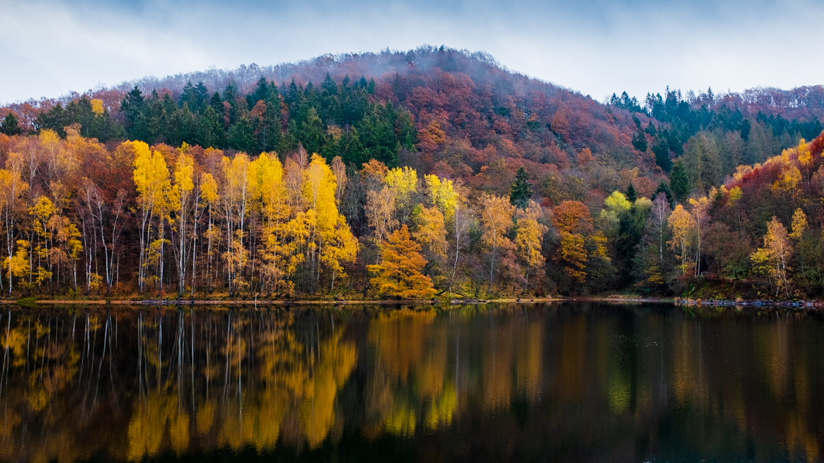 HerbstfarbenForum