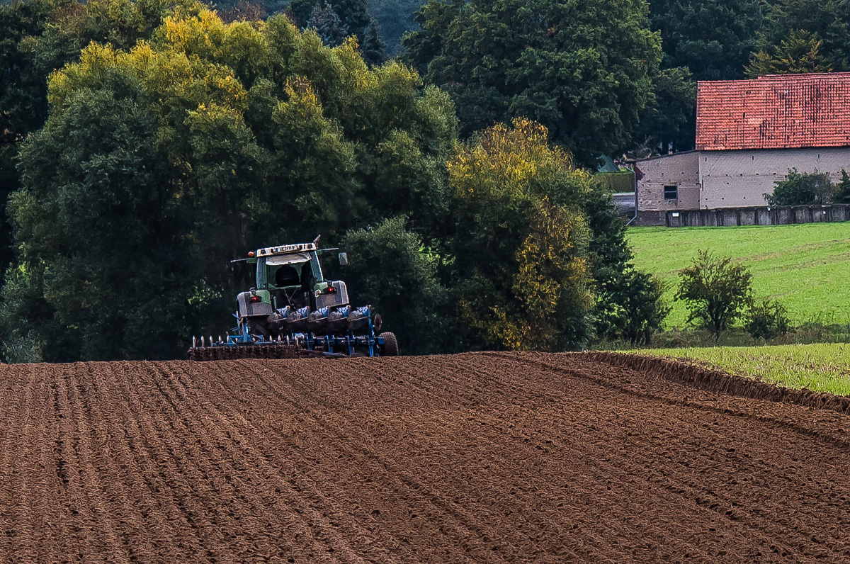 Herbstfurche 2 (1 von 1).JPG