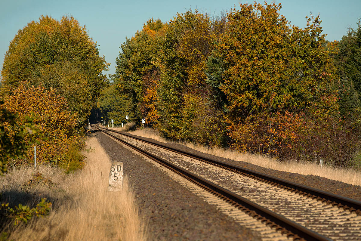 Herbstgleis 2