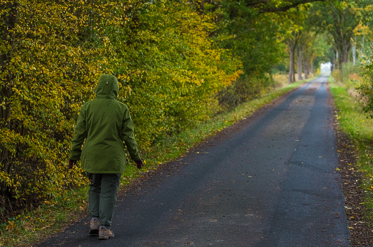 Herbstgrün (1 von 1).JPG