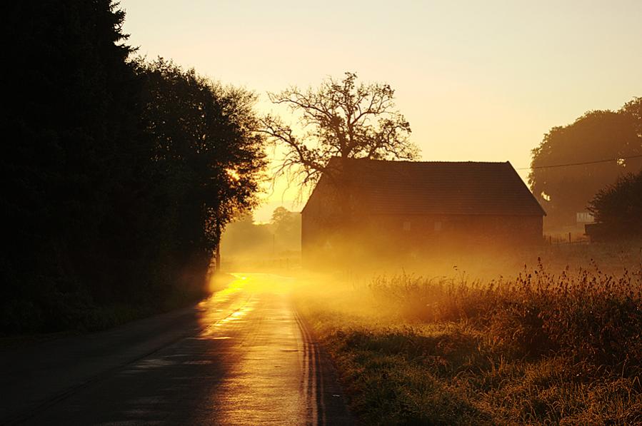 Herbstimmung einer Großstadt
