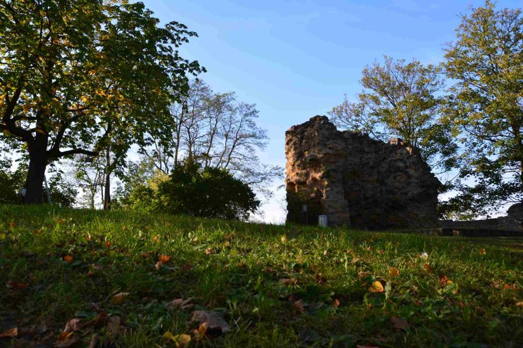 Herbstimpressionen 4