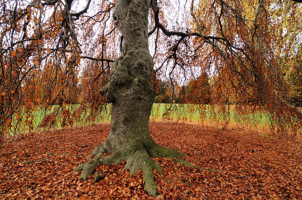 Herbstkreis
