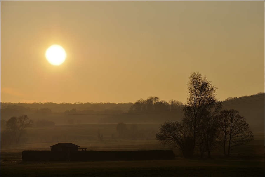 Herbstlandschaft
Luftperspektive (Dunst) und Hügel mit bereits herbstlich kahlen Bäumen im abendlichen Gegenlicht.