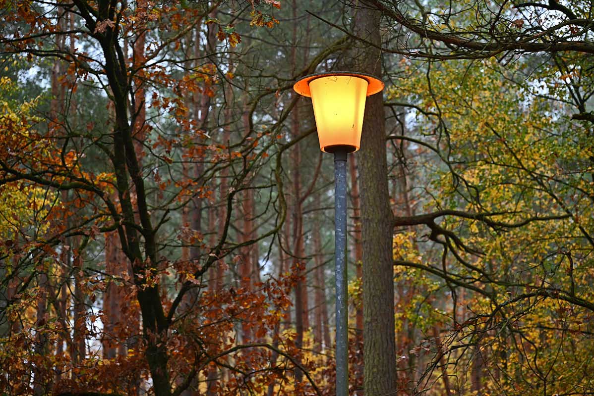 Herbstlaterne.jpg