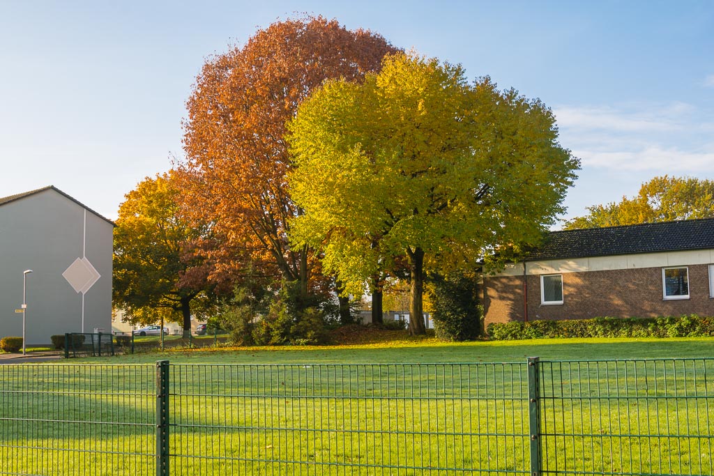 Herbstlaub