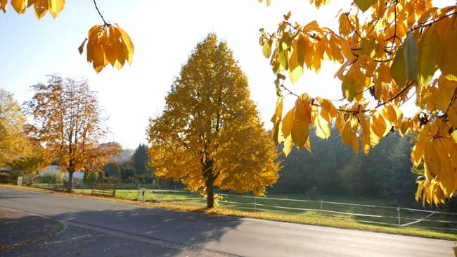 Herbstlich