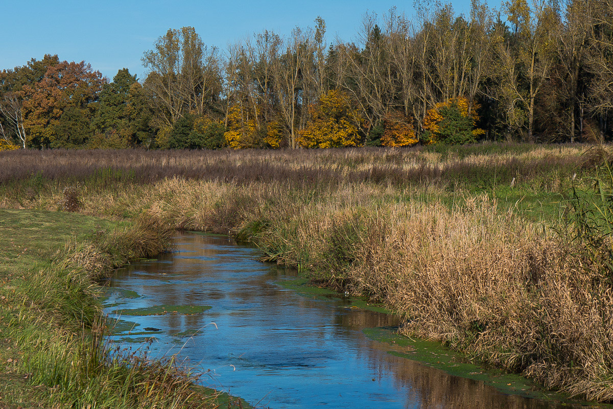 Herbstliche Aue 2 (1 von 1).JPG