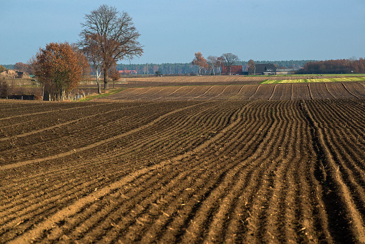 Herbstliche Feldmark