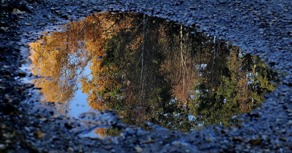 herbstliche Latschn