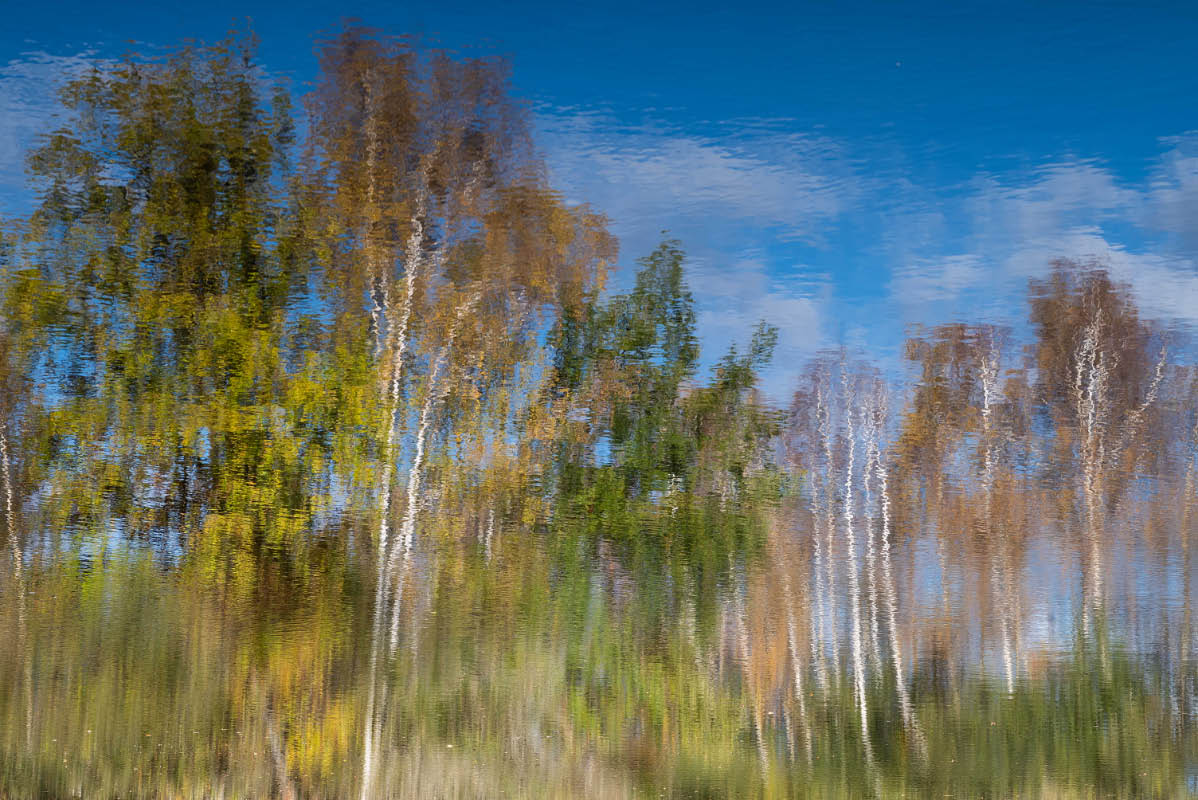 Herbstliches Aquarell.jpg